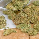 ganja