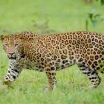 images (12)