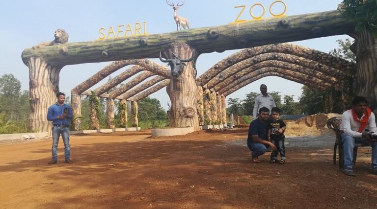 jungle-safari-outing