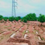 images - 2026-07-24T171056.601