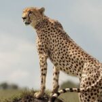 images - 2026-09-19T011653.709