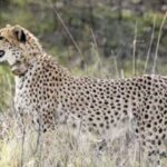 images - 2026-09-21T012725.048