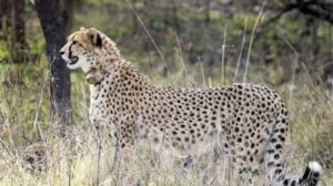 images - 2026-09-21T012725.048