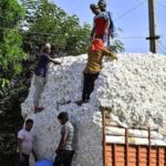 images - 2026-09-21T224622.143