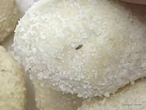 images - 2026-09-23T115017.190